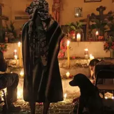 Resource image: Despr&eacute;s de la Pau